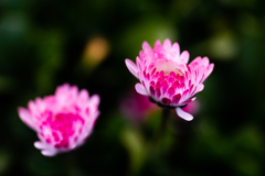 道端で