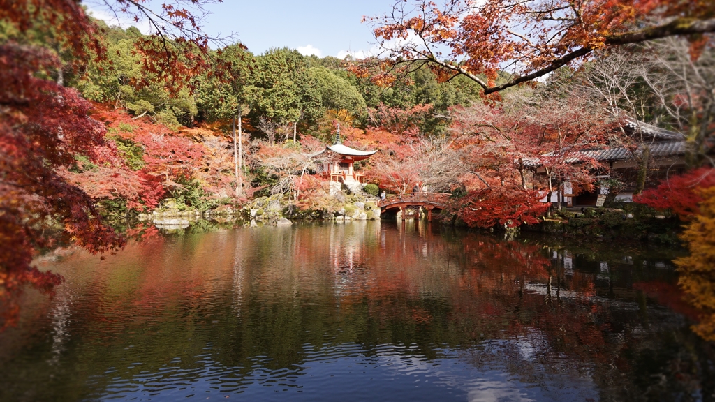 池の紅葉