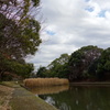 午後の池
