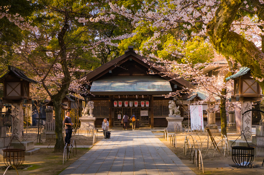 通りすがりの神社