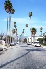 ヤシの木のある通り　LA　CA