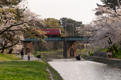 お花見散歩