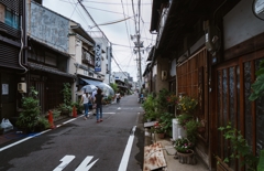 曇天の日の散策