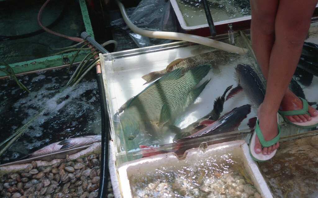 長州島　香港