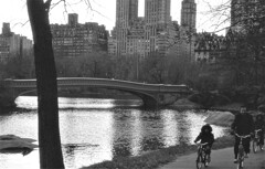 自転車で散歩　NY
