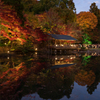 紅葉ライトアップ
