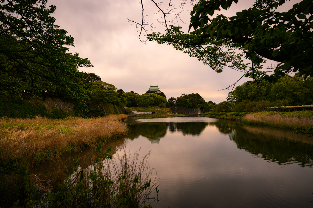 名古屋城遠景