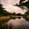 名古屋城遠景