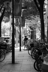 自転車置き場