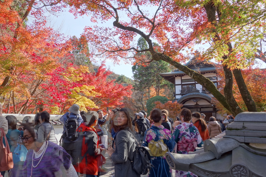 紅葉