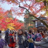 紅葉