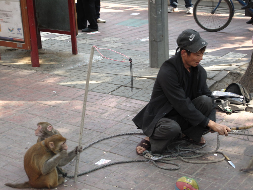 路上の猿回し　　中国