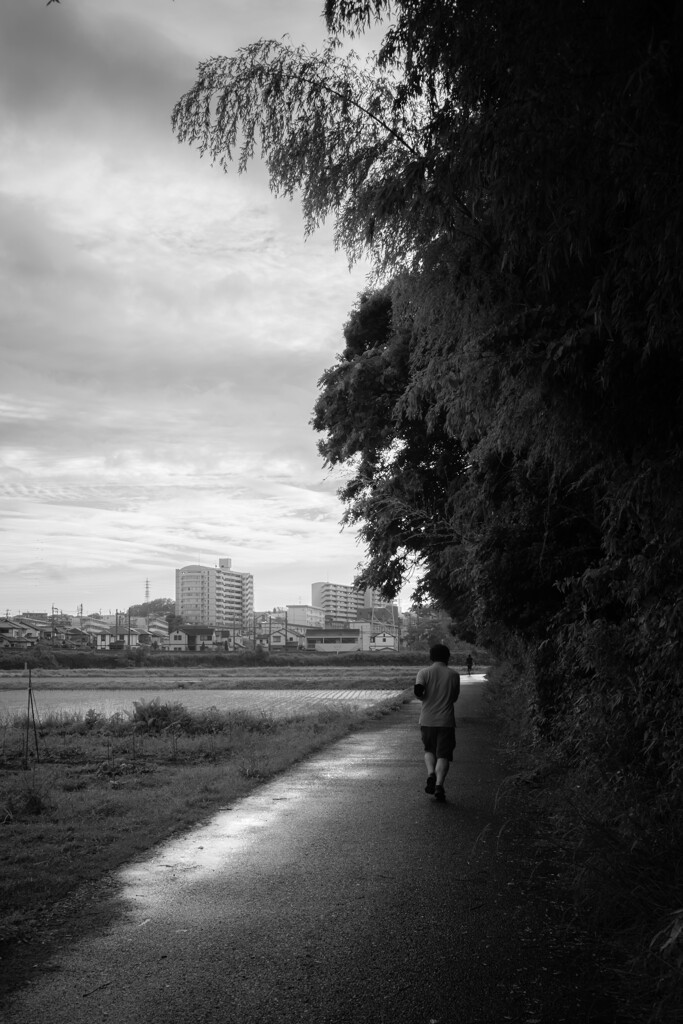 夕暮散歩道