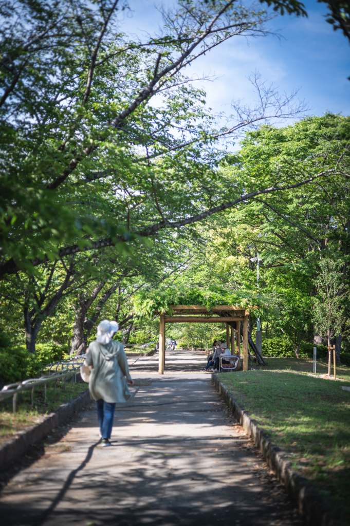 公園散歩