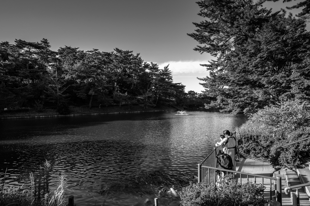 池のある公園で