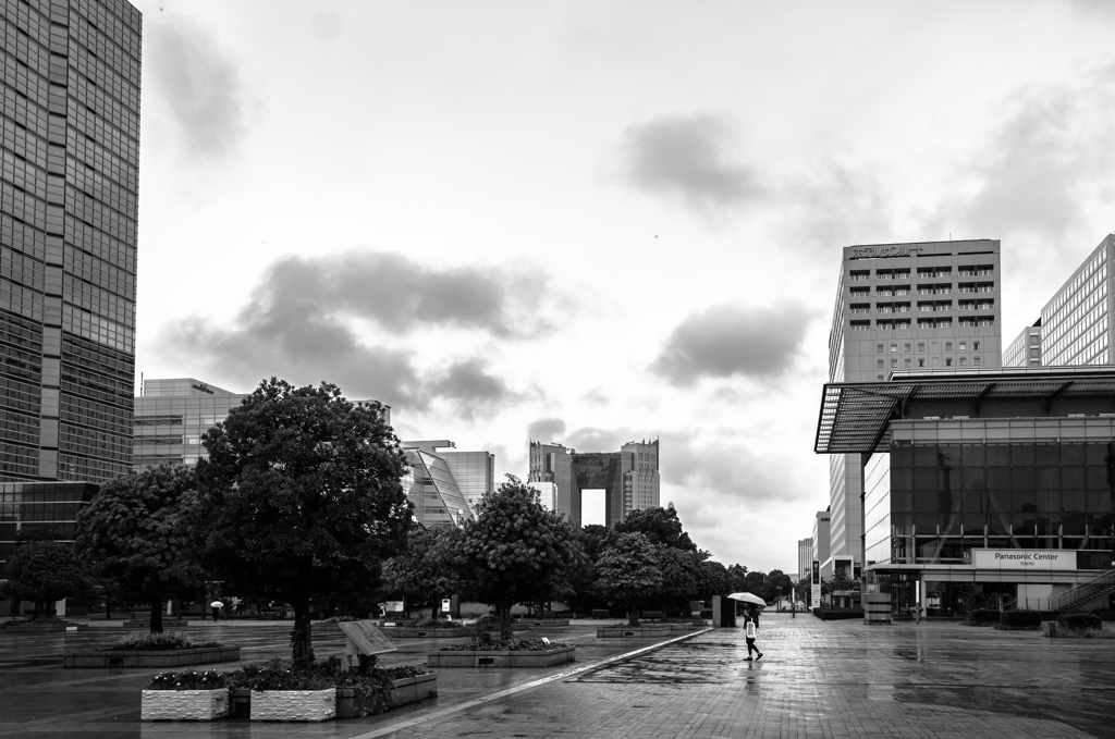 朝の雨