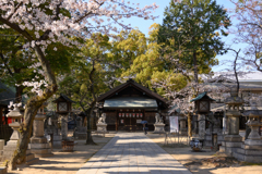 春の神社