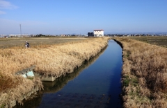 用水路のある風景