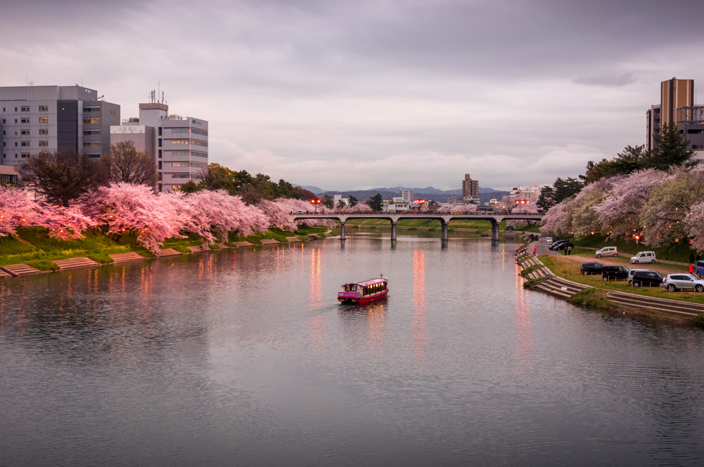 春の乙川　夕景　２
