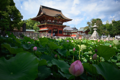 八幡宮