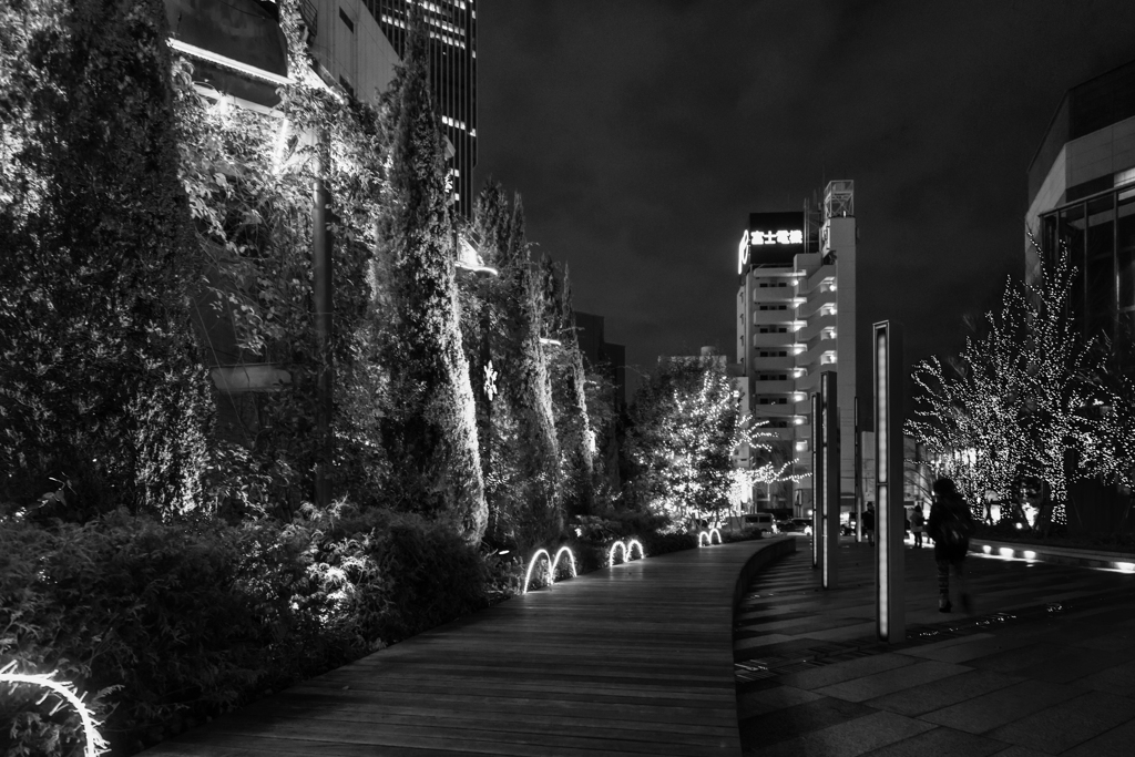 夜景 モノクロ １ By Mac012 Id 写真共有サイト Photohito