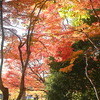 紅葉散歩