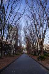裸の季節