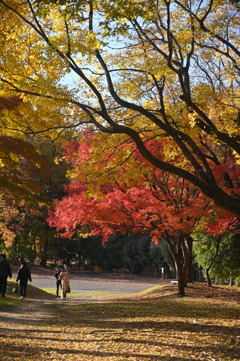 紅葉に囲まれて