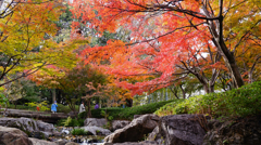 ハイキング気分で紅葉