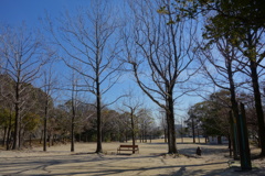 人の少ない公園