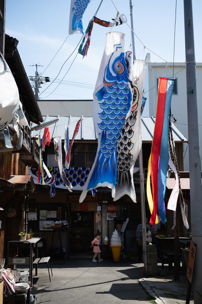 路地の鯉のぼり