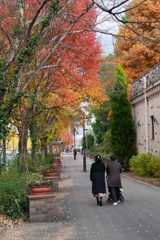 街角の紅葉