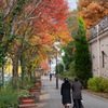 街角の紅葉