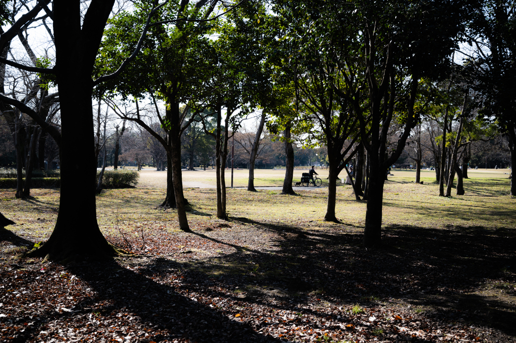 公園散策