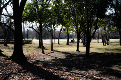 公園散策