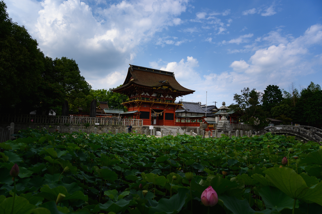 八幡宮
