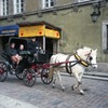 旧市街を行く観光馬車　ワルシャワ　