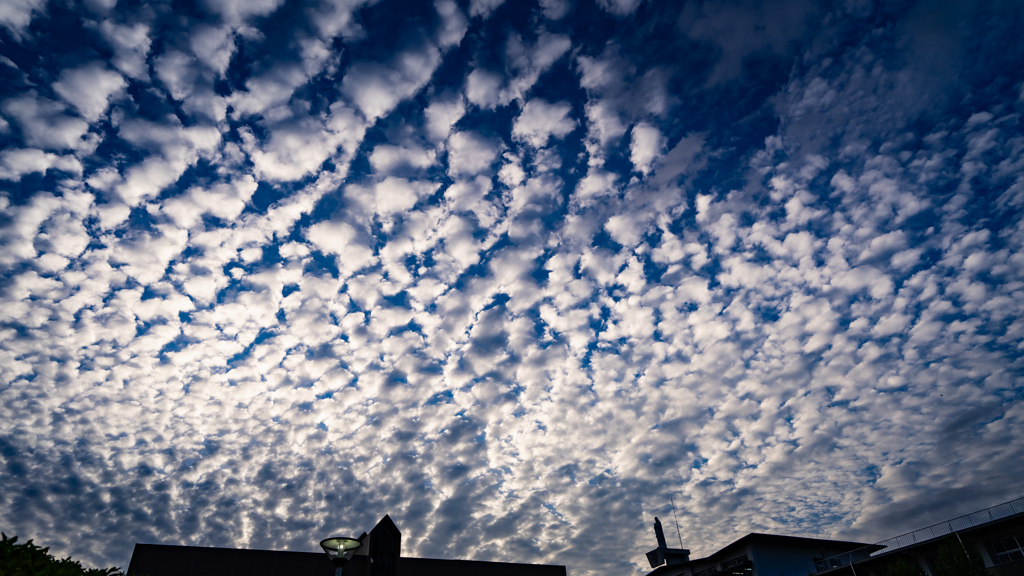 うろこ雲　夕暮れ