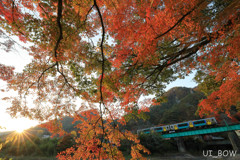 紅葉に別れを告げて