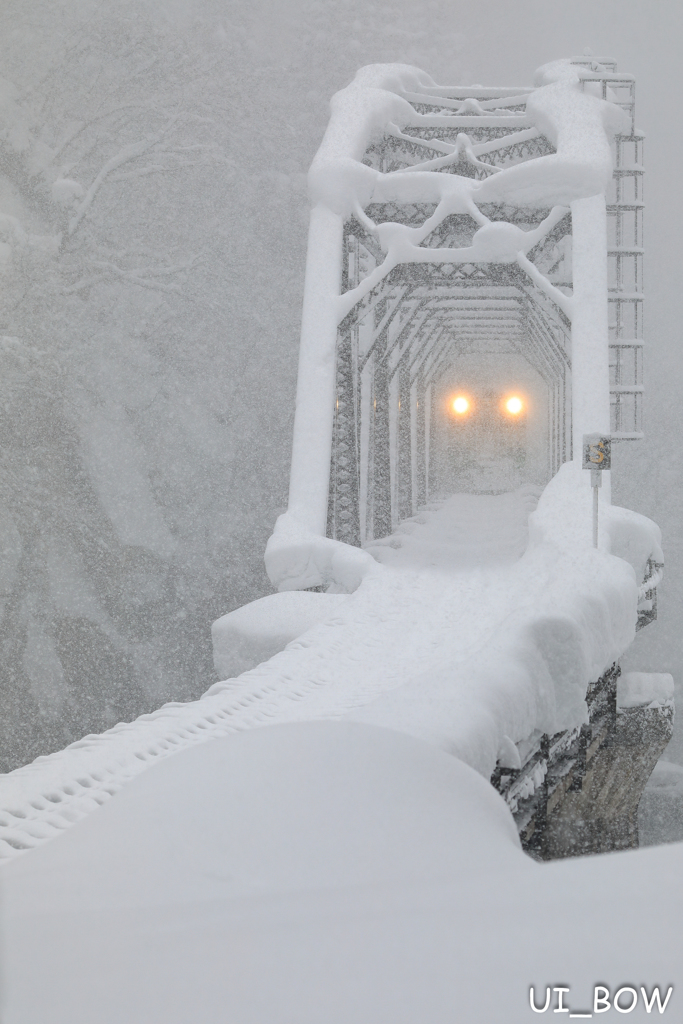 雪ほたる