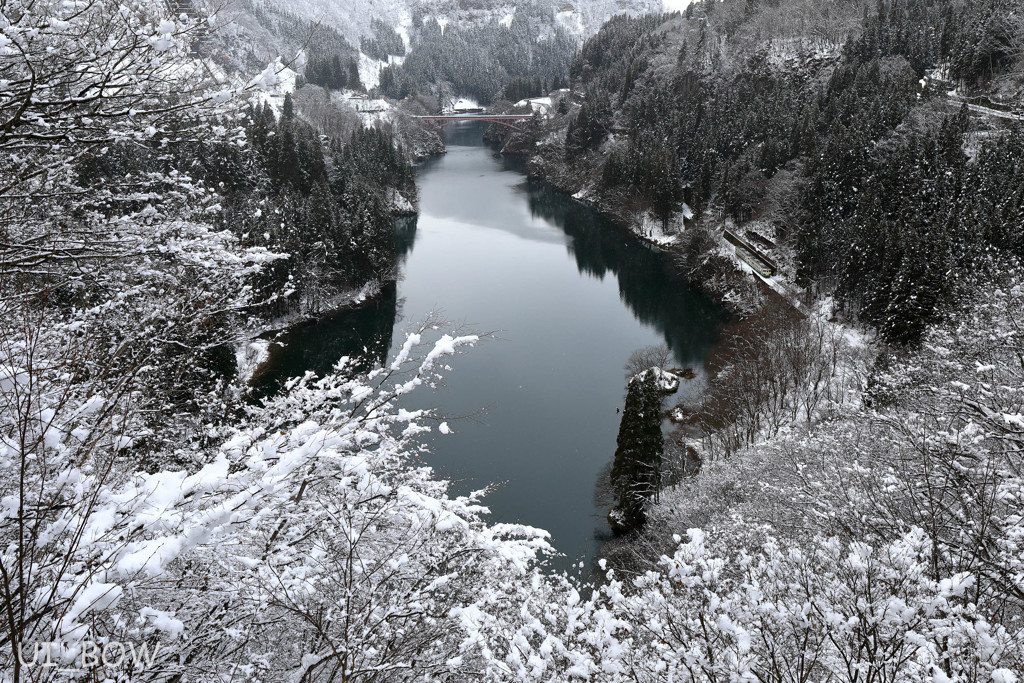 雪の花？