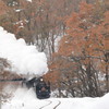 ばんえつ”雪”物語
