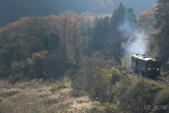 晩秋のわたらせ渓谷鐵道