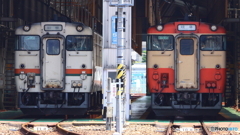 在りし日の美濃太田車両区
