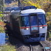 ブルーシートが；