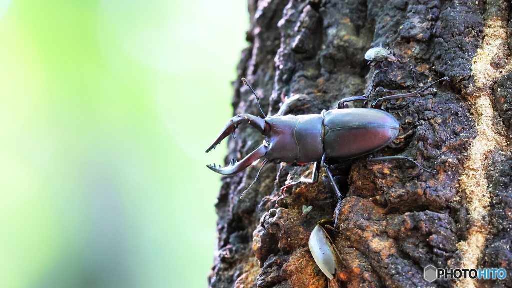 あの頃を懐かしむ