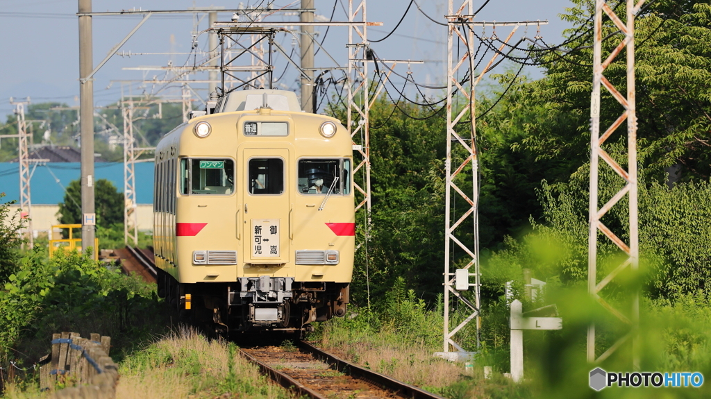 夏場の望遠撮影は朝限定