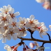 寒かった；