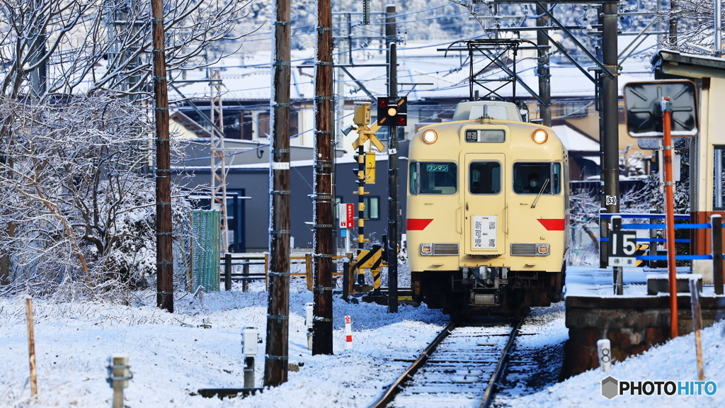 雪が降ったので