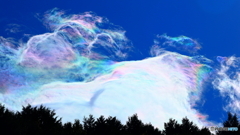 今日も来たー！！